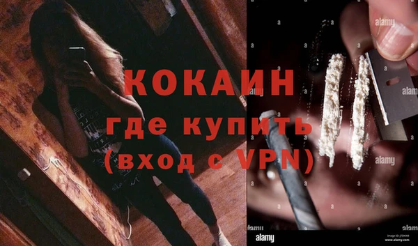 индика Медногорск