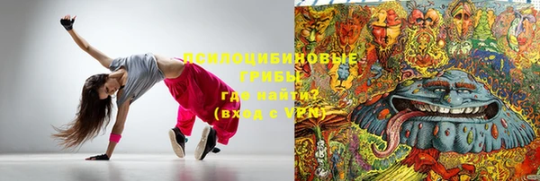 гидра Медвежьегорск