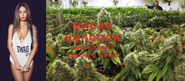 индика Медногорск