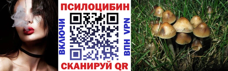 Купить  Ярославль  Галлюциногенные грибы мухоморы 